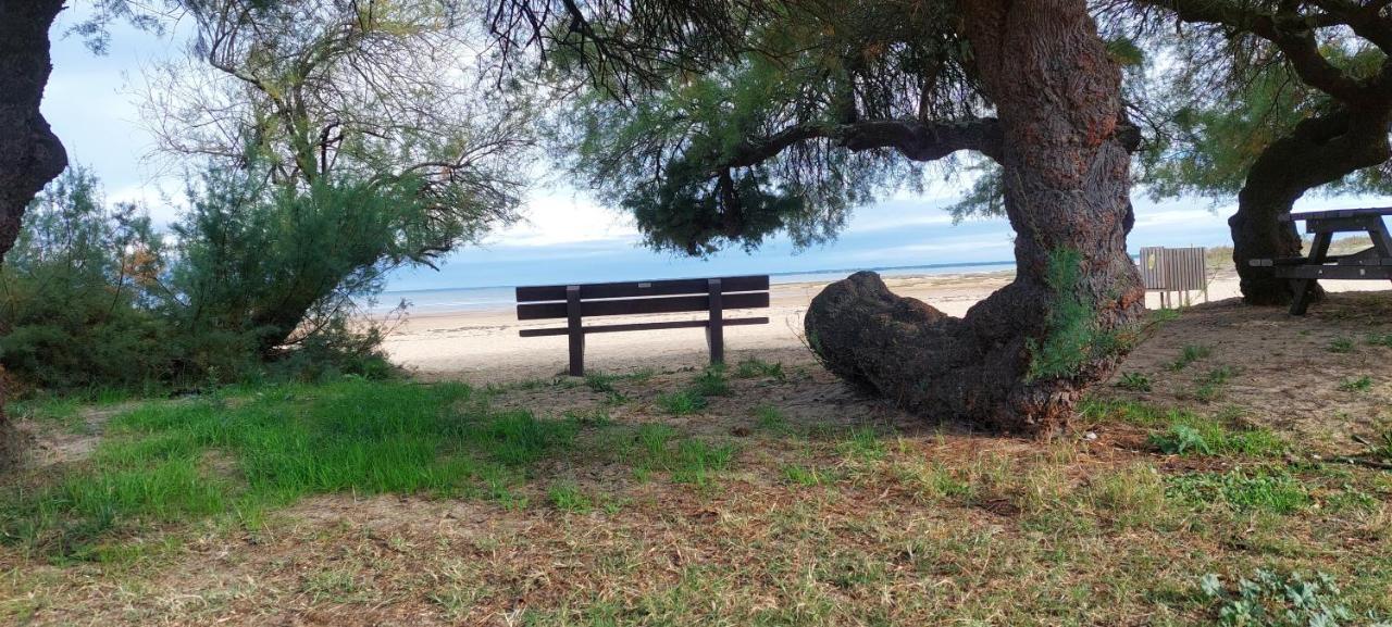 Un Logement Cosy Proche Des Ports Villa Gujan-Mestras Exteriör bild